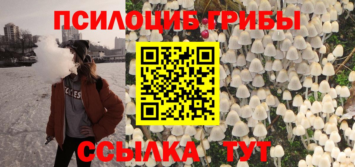 Псилоцибиновые грибы Cubensis Белая Калитва