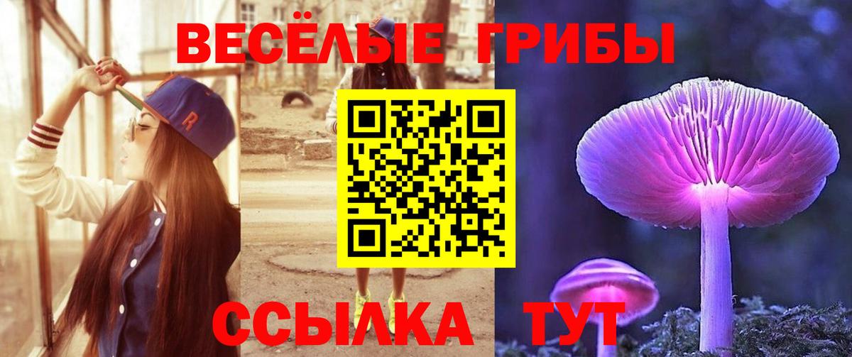 даркнет сайт  Галлюциногенные грибы мицелий  Вход с VPN  Белая Калитва  Галлюциногенные грибы Psilocybe 